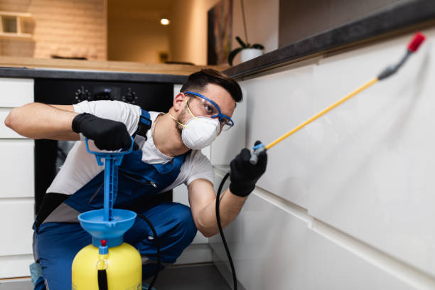 Best Termite Control Services  in Las Flores, CA