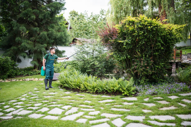 Best Insect Control  in Las Flores, CA
