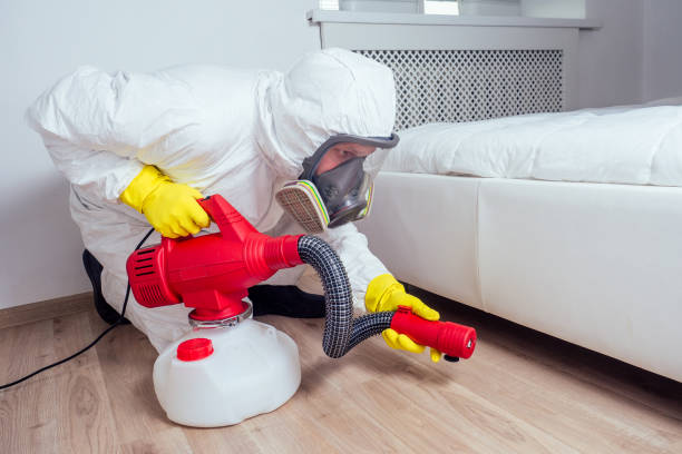 Best Pest Inspection Near Me  in Las Flores, CA