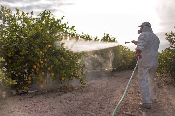 Best Emergency Pest Control  in Las Flores, CA