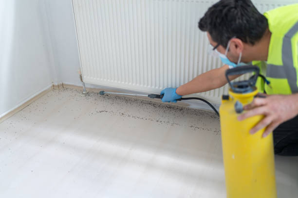Flea Control Services in Las Flores, CA